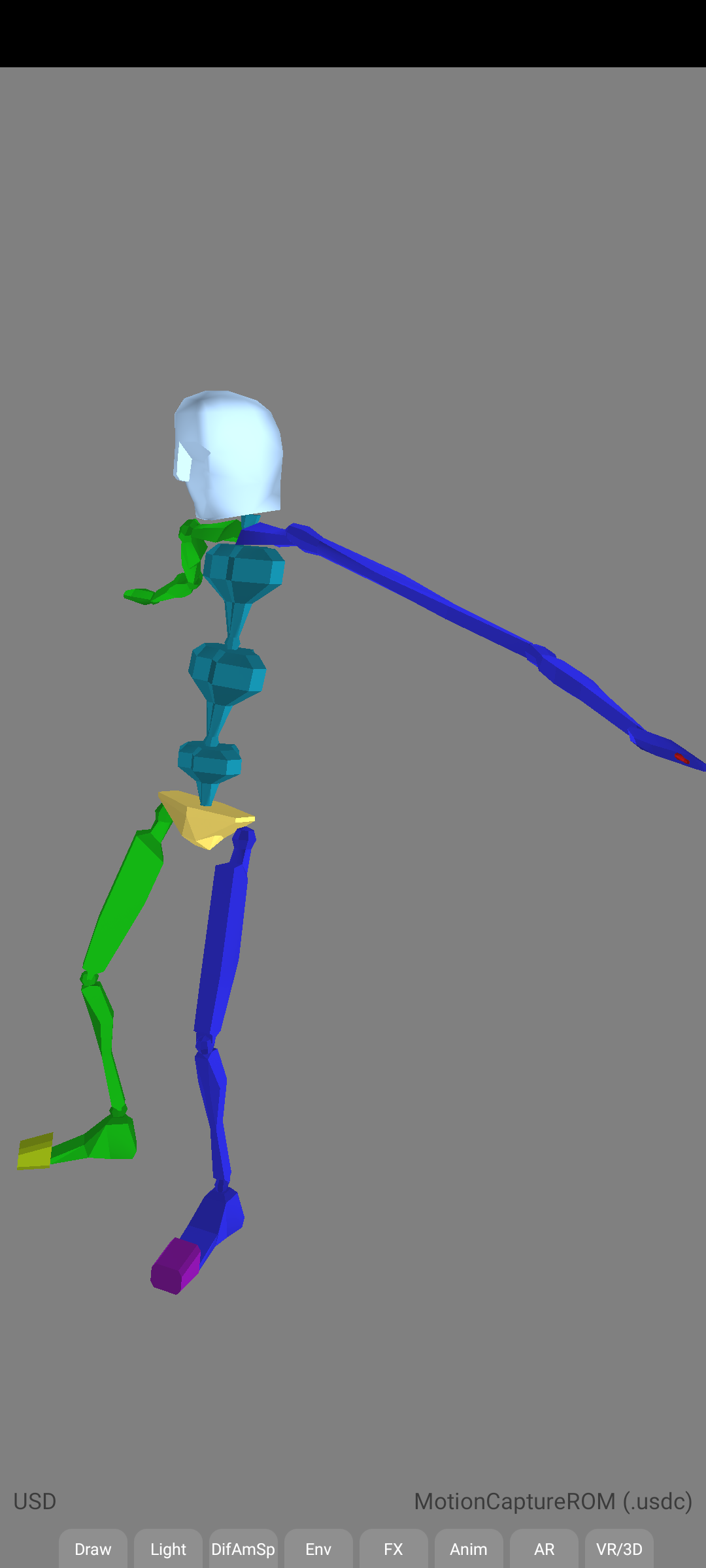 MotionCaptureROM.usdc